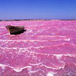 Lake-Retba-Mind-blowing-places-of-the-world-3