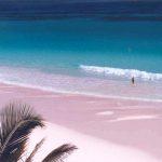 harbour_island_pink_sand_beach