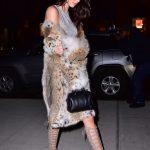 hbz-kendall-jenner-style-0208-getty